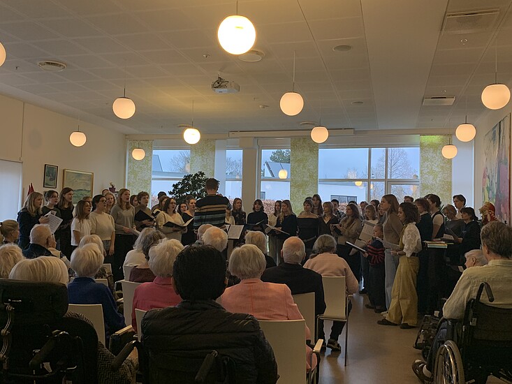 Billede i galleri. Klik for at åbne