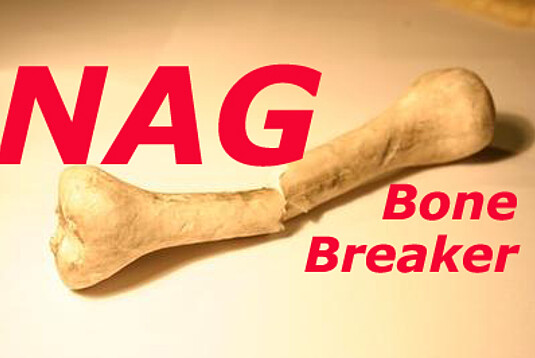 Læs om Bone Breaker: And the winner is...